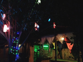 SDT Home