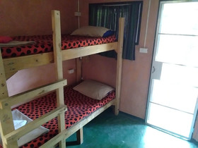 SDT Home