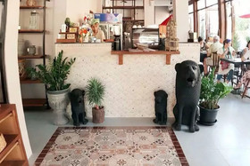 See You Soon Chiangmai