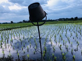 Suwannatara Resort & Spa