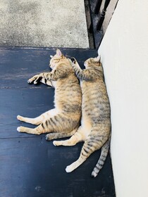 Suwannatara Resort & Spa