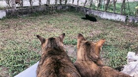 Suwannatara Resort & Spa