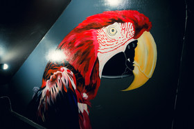 The Bird Hub Hostel