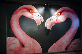 The Bird Hub Hostel