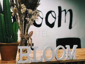 The Bloom Hostel
