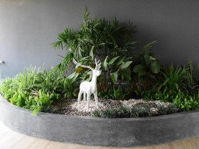 The Star Hill Condo