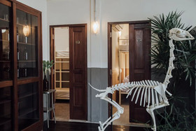 The Lab Poshtel
