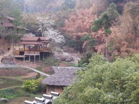 Tadplacamp Organic Farm Stay