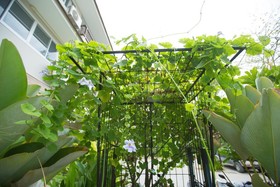 The Opium Serviced Apartment & Hotel