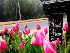 The Road View Resort