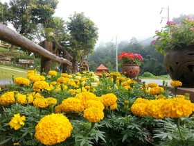 The Road View Resort