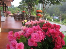 The Road View Resort