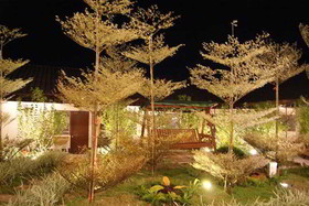 Tree Residences