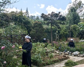 Vana Homestay