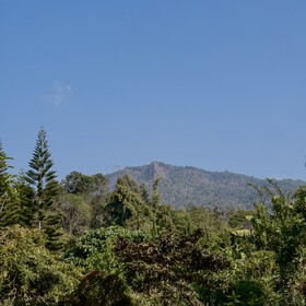 Vana Homestay