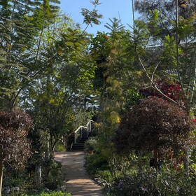 Vana Homestay