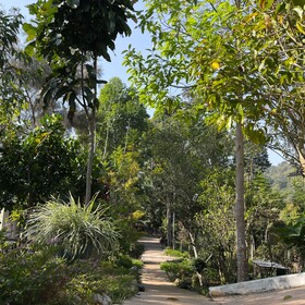 Vana Homestay