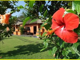 Vivacity Home