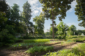 Dao Retreat