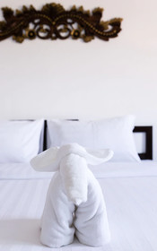 Vlodge Vegetarian & Vegan Hotel