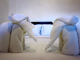 Vlodge Vegetarian & Vegan Hotel