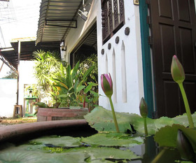 Vlodge Vegetarian & Vegan Hotel