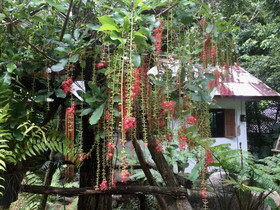 Voraman Hut