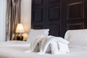 Wing Bed
