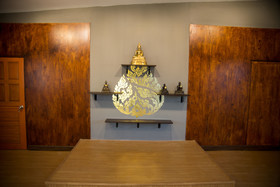 Wing Bed