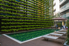 Cross Vibe Chiang Mai Decem