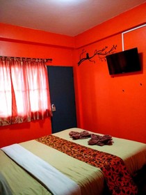 Yin Yang Guesthouse