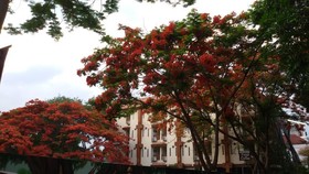 Yourhouse Guesthouse 3
