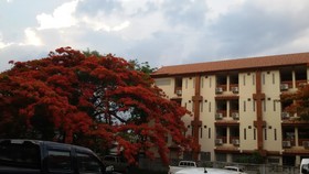 Yourhouse Guesthouse 3