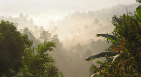 Akha Hill House
