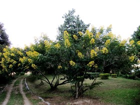 Baan Ingdoi Resort