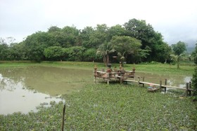 Baan Suan Jantra Home Stay