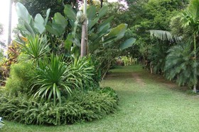 Baan Suan Jantra Home Stay