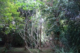 Baan Suan Jantra Home Stay