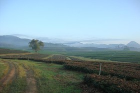 Baan Suan Jantra Home Stay