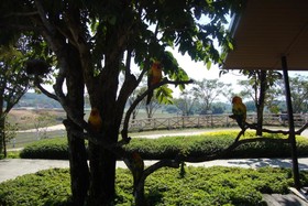 Baan Suan Jantra Home Stay