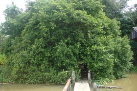 Baan Suan Jantra Home Stay