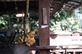 Baan Tammila Guesthouse