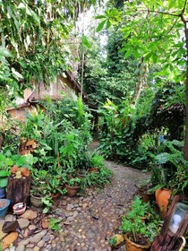 Baan Tammila Guesthouse