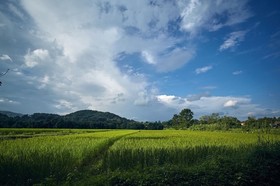 Bambuh Boutique Homestay