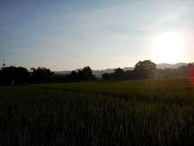 Ban Lom Jen Homestay