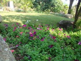 Bura Resort