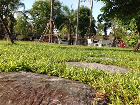 Chiangrai Greenpark Resort