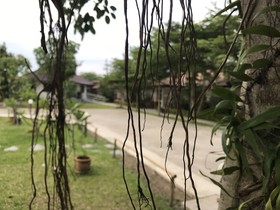 Chiangrai Greenpark Resort