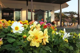 Chiangrai Greenpark Resort