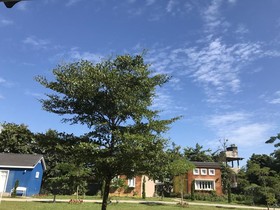 Doi Tung View Resort